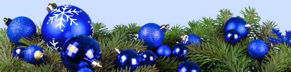 Newsletter banner image